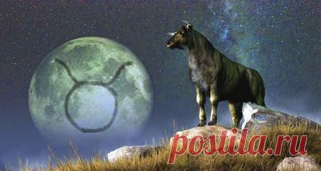 Гороскоп для Тельца на 2020 год: женщина и мужчина