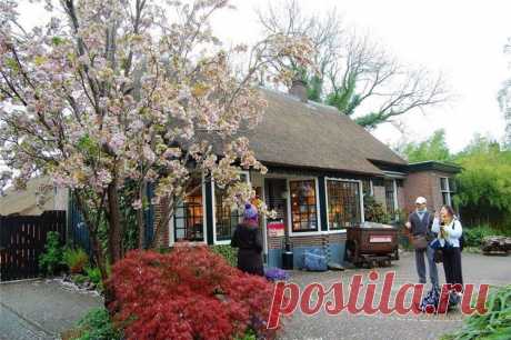 Социальная сеть Мой Мир@Mail.Ru: Ваши одноклассники, однокурсники и друзья в контакте с Вами!