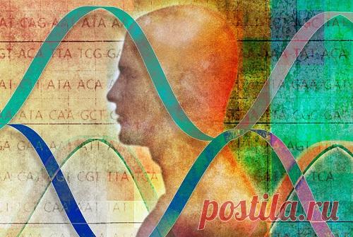 Как генетический код влияет на характер и судьбу