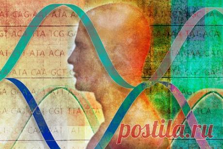 Как генетический код влияет на характер и судьбу