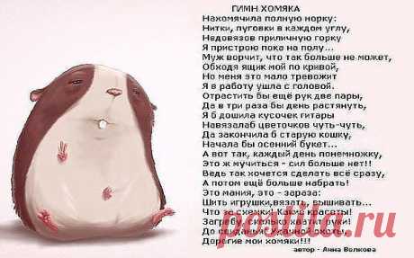 (89) Одноклассники