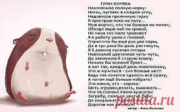 (89) Одноклассники