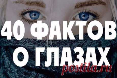40 фактов о глазах, которых вы не знали. | ВЗГЛЯНИ НА МИР С ИНТЕРЕСОМ