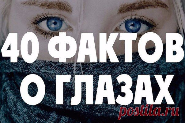 40 фактов о глазах, которых вы не знали. | ВЗГЛЯНИ НА МИР С ИНТЕРЕСОМ