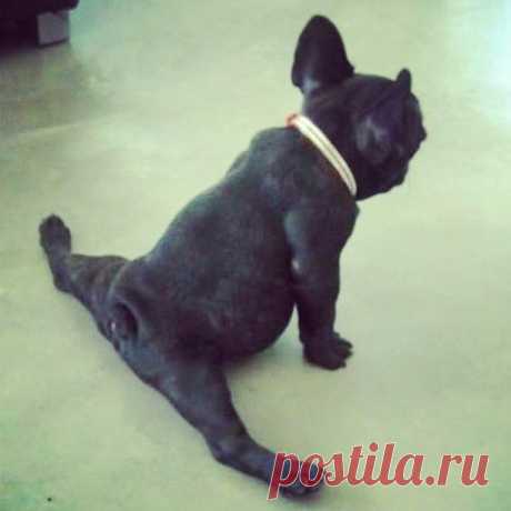 А вам слабо?