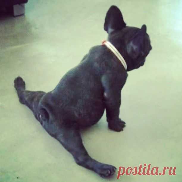 А вам слабо?