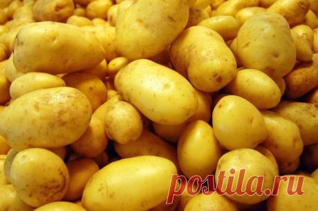 Home garden|Сад, огород, дача | ВКонтакте