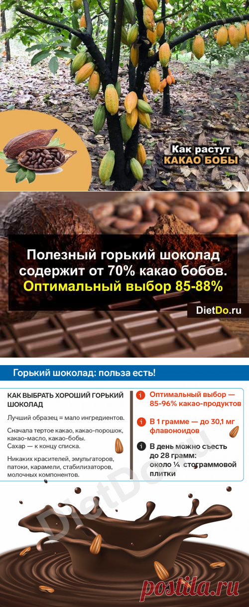 Горький шоколад: польза и вред для здоровья, какой самый лучший. Грамотные обзоры пользы и вреда продуктов от DietDo.ru!