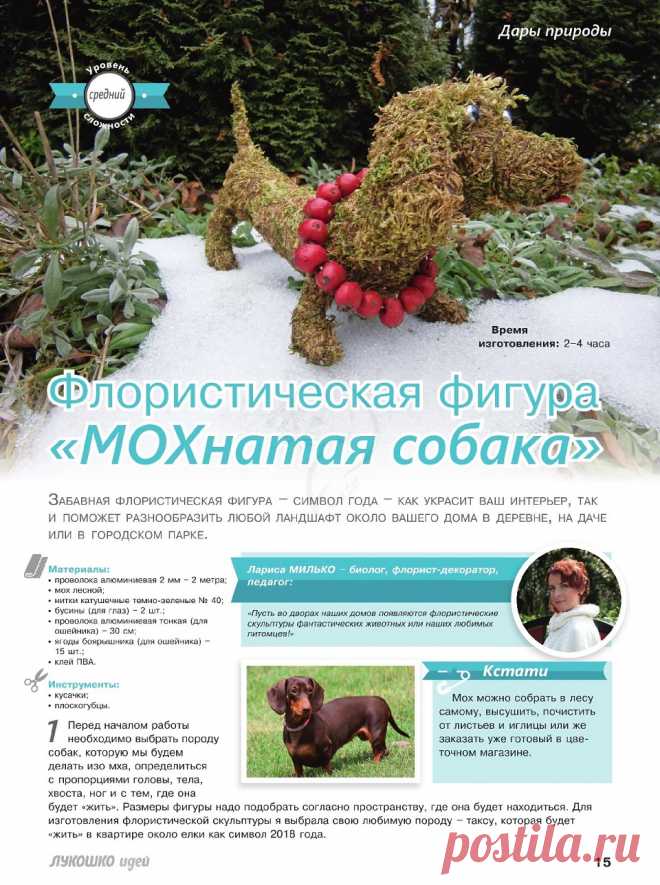 Лукошко идей №1 2018.
