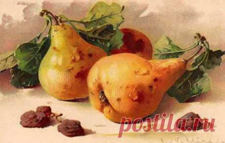 Катарина Кляйн