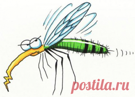 КОМАРЬЕ НЕНАСЫТНОЕ. | ДОСТОЙНАЯ ЖИЗНЬ НА ПЕНСИИ