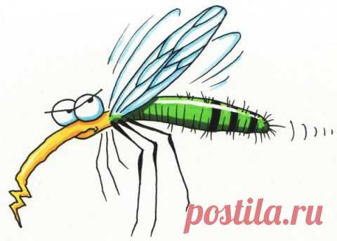 КОМАРЬЕ НЕНАСЫТНОЕ. | ДОСТОЙНАЯ ЖИЗНЬ НА ПЕНСИИ