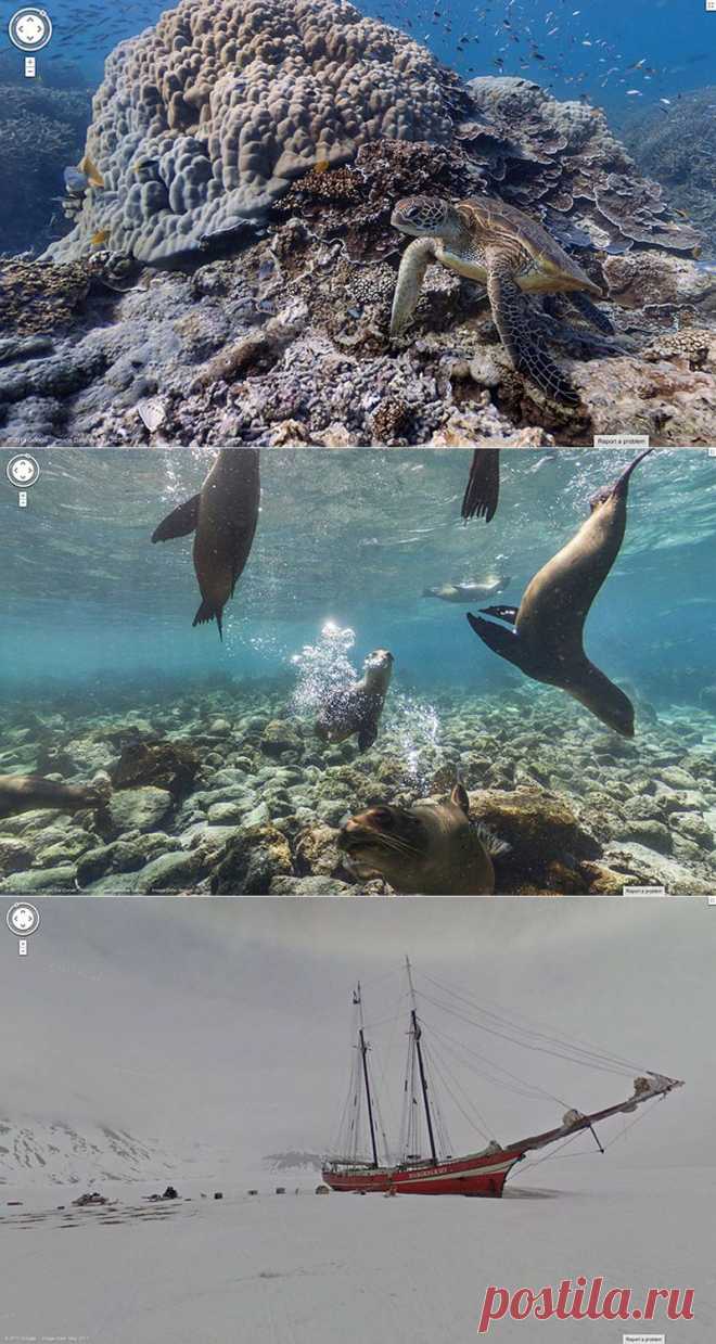 Самые удаленные и удивительные места Google Street View : НОВОСТИ В ФОТОГРАФИЯХ