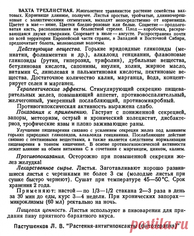 Вахта трехлистная