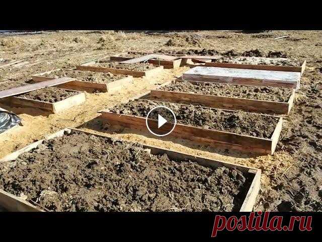 Обустройство дачи, сделали деревянные грядки. Серия 2...