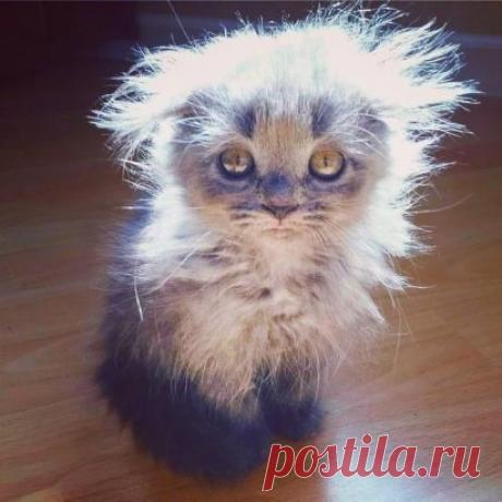 — Ты высыпаешься по ночам? 
— Куда высыпаюсь ? 
— Понятно...