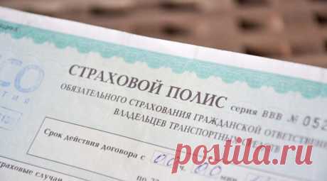 Поддельные полисы еОСАГО: как не дать себя обмануть - Hi-Tech Mail.Ru