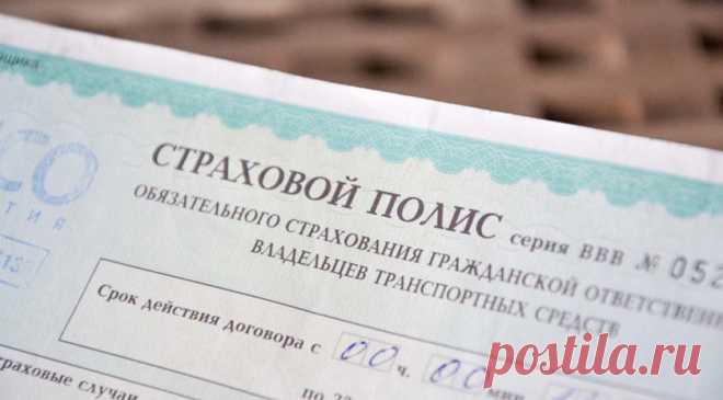 Поддельные полисы еОСАГО: как не дать себя обмануть - Hi-Tech Mail.Ru