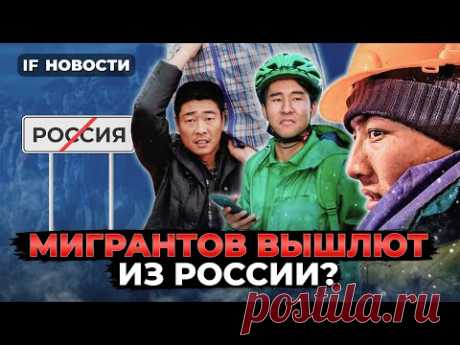 Каких мигрантов выдворят из России? Разморозка акций начнется в марте / Новости экономики