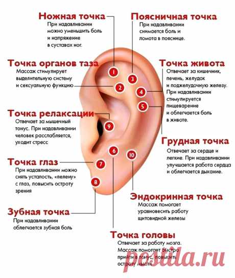 Точки помощи на ушной раковине