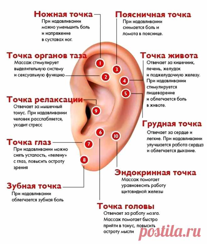 Точки помощи на ушной раковине
