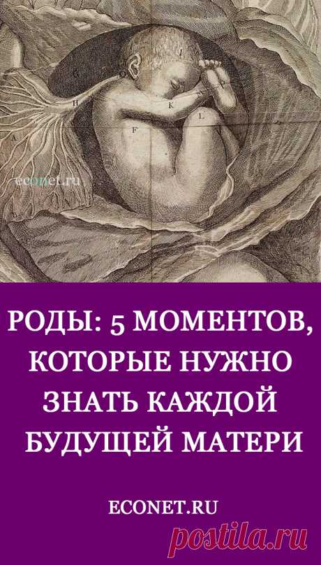 РОДЫ: 5 моментов, которые нужно знать каждой будущей матери

Доктор Оден - французский врач и всемирно известный новатор в области родовспоможения. Его книги, лекции, его работа оказали огромное влияние во всем мире на рожениц и тех, кто заботится об их здоровье