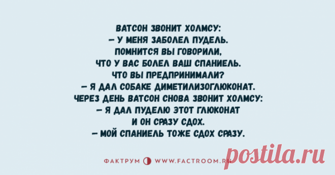 Крутая подборка анекдотов