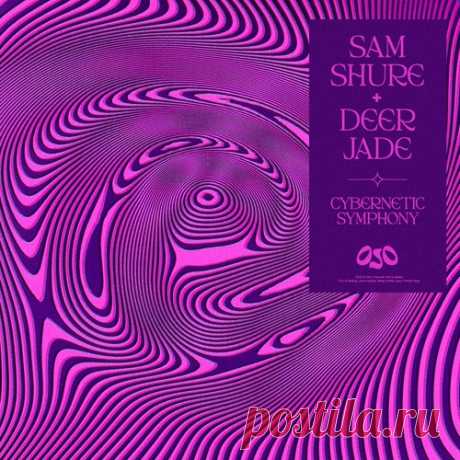 Sam Shure, Deer Jade – Cybernetic Symphony [OJO007] free download mp3 music 320kbps