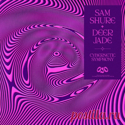 Sam Shure, Deer Jade – Cybernetic Symphony [OJO007] free download mp3 music 320kbps