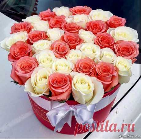 • Картинки и открытки  ► ПОДПИШИСЬ!◄