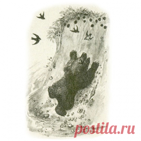 МИШКА-БАШКА