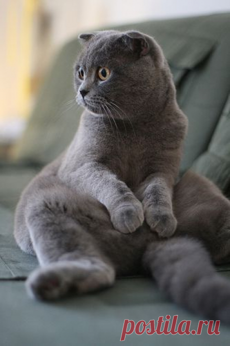 Meditation...