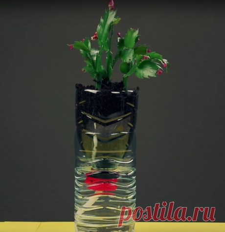 5 замечательных способов использовать старые бутылки, о которых вы и не думали