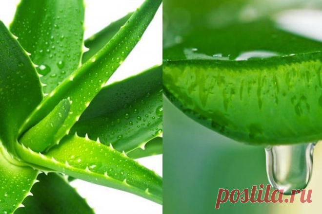 11 находчивых решений для дома, которые мы почему-то до сих пор не взяли на вооружение / Как сэкономить