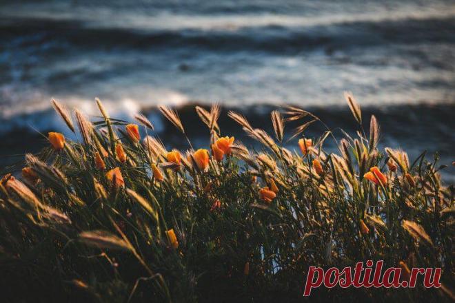 Новые уровни жизни – 3 места, по которым бьёт жизнь, чтобы человек менялся
Вы когда-нибудь задумывались, почему на работе плохо, в отношениях непонятно что, с деньгами туго или внезапно начинаются проблемы со здоровьем? У всех могут быть разные вариации, но суть одна, жизнь не ошибается, и всегда бьёт туда, где нужны перемены. За что можно зацепить человека, чтобы он начал меняться? Конечно за то, что для него важно, […]
Читай пост далее на сайте. Жми ⏫ссылку выше