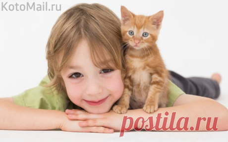 Солнечное настроение