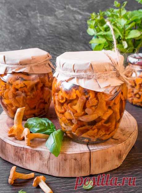 Рецепт маринованных лисичек