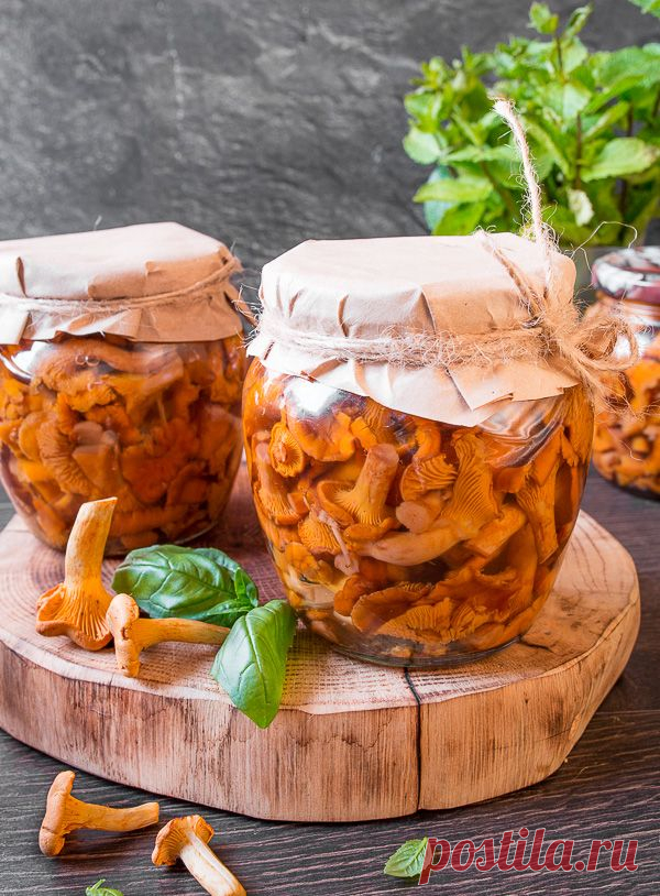 Рецепт маринованных лисичек