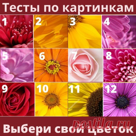 Тесты по картинкам: выбери цветок и узнай сильные стороны | Психология