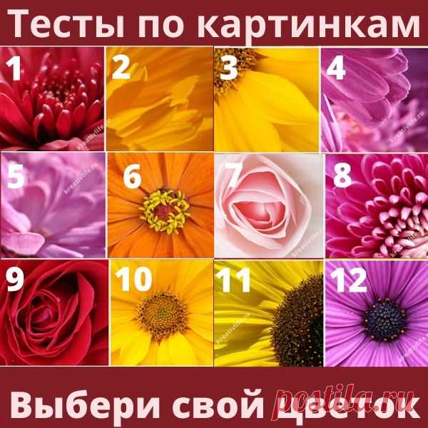 Тесты по картинкам: выбери цветок и узнай сильные стороны | Психология