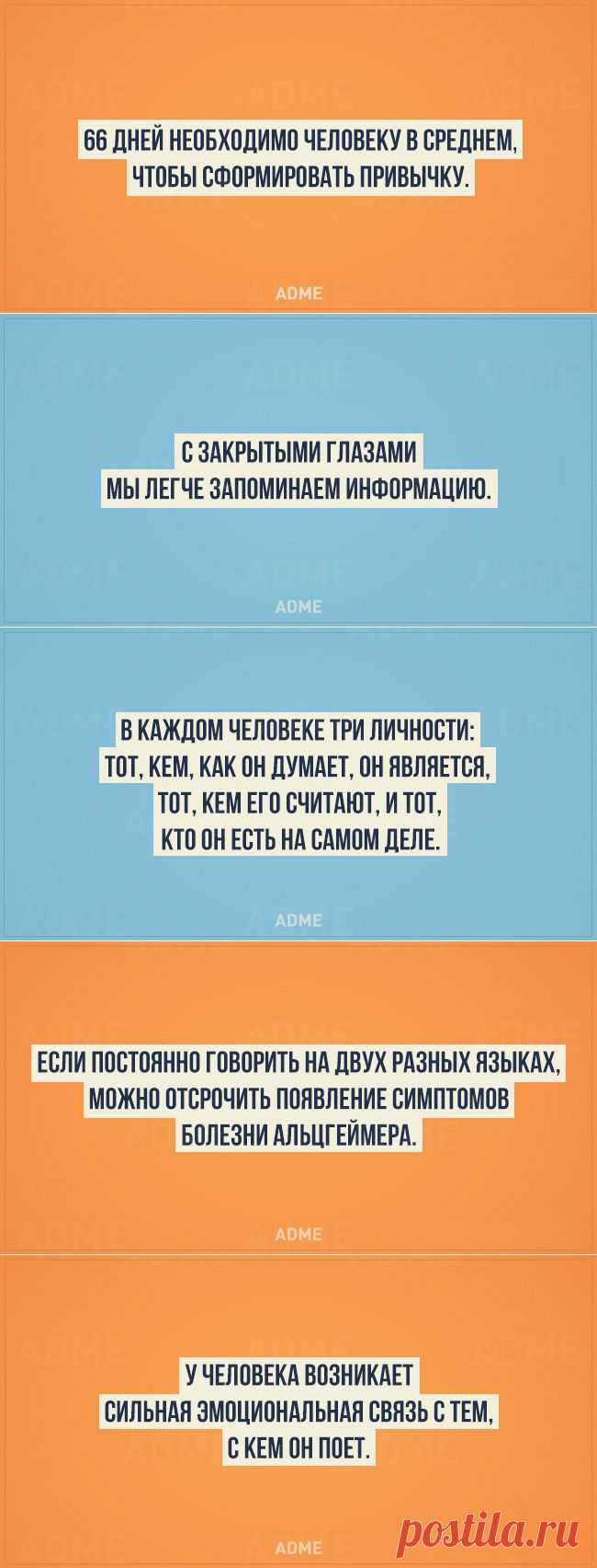 20 ценных фактов из психологии