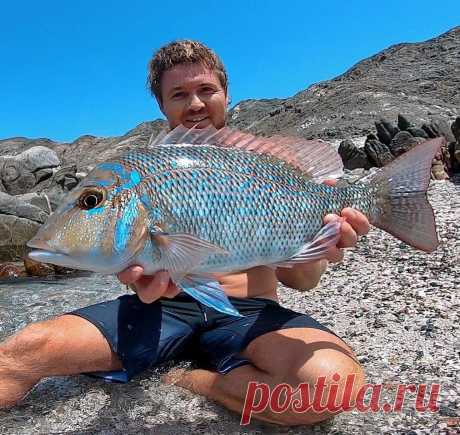 Вот такая невероятная рыба водится рядом с японскими островами