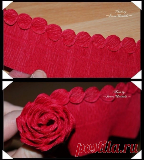 Розы из гофрированной бумаги