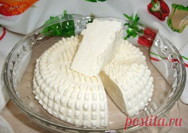 Домашний сыр с пепсином