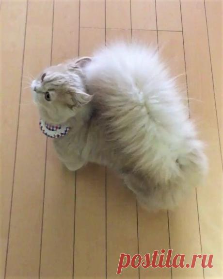 (15) Facebook