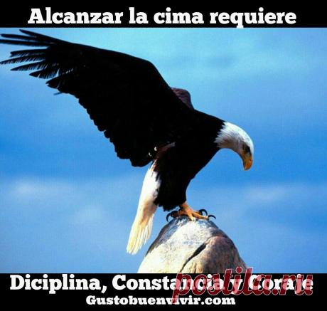 tu no triunfas cuando celebras tus triunfos sino cuando superas - Buscar con Google