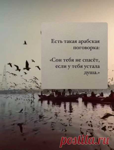 Фраза вчера