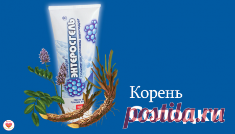 Чистим лимфу с помощью чудесного сиропа | Здоровье - наше богатство | Яндекс Дзен