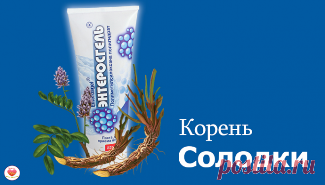 Чистим лимфу с помощью чудесного сиропа | Здоровье - наше богатство | Яндекс Дзен
