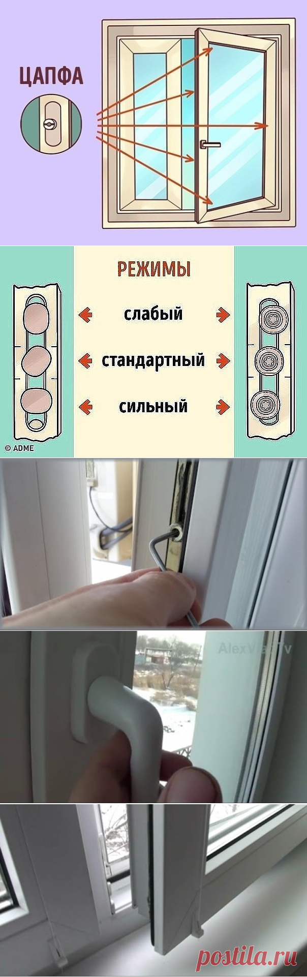 (29) Одноклассники